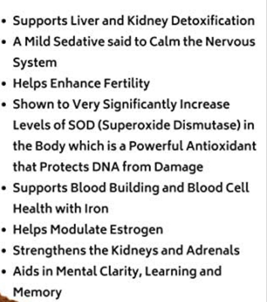 Fo Ti Root Powder Cured Organic Capsules - Alchemy Botanicals & Herbs Corp