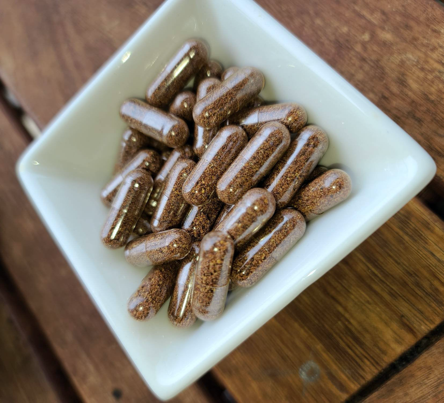 Organic Elderberry Powder Capsules - Alchemy Botanicals & Herbs Corp