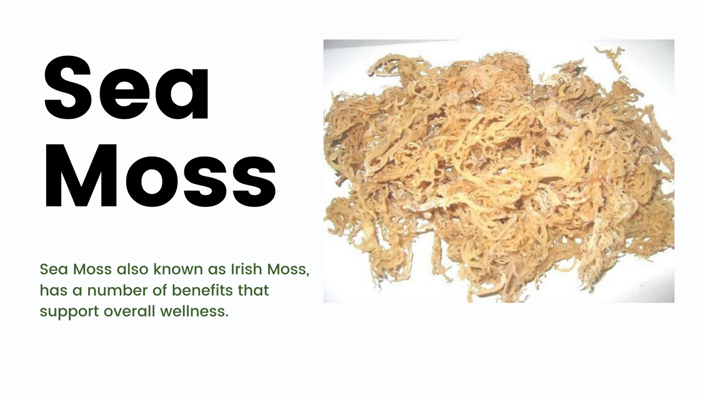 
                  
                    Organic Irish Moss/Sea Moss Capsules 100% Pure Organic Powder Capsule Vegetarian Capsules - Alchemy Botanicals & Herbs Corp
                  
                