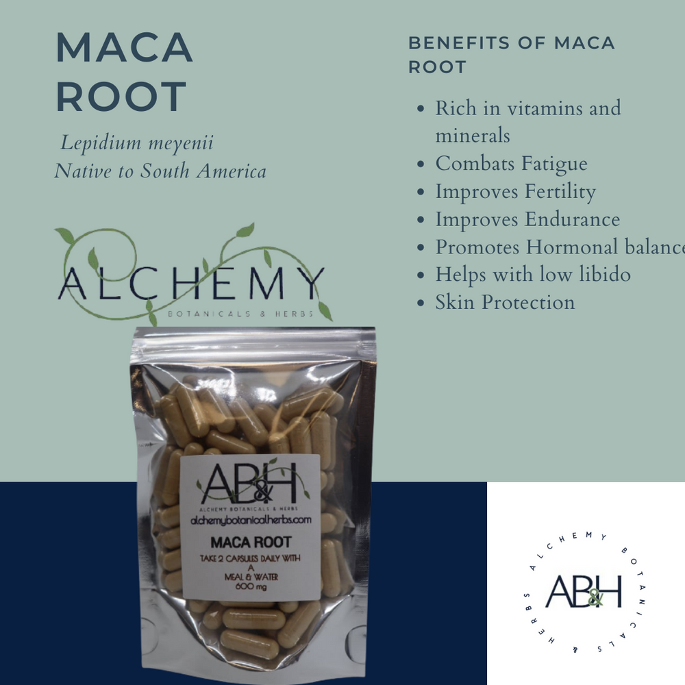 
                  
                    Organic Maca Root Capsules Size 0 Vegetarian Capsules Natural No Fillers Capsules - Alchemy Botanicals & Herbs Corp
                  
                