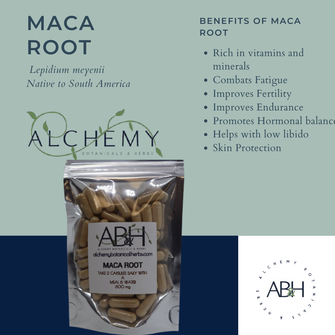 
                  
                    Organic Maca Root Capsules Size 0 Vegetarian Capsules Natural No Fillers Capsules - Alchemy Botanicals & Herbs Corp
                  
                