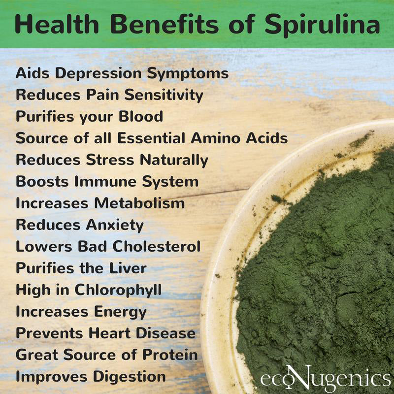 
                  
                    Organic Spirulina - Alchemy Botanicals & Herbs Corp
                  
                