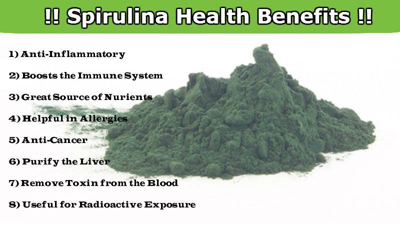 
                  
                    Organic Spirulina - Alchemy Botanicals & Herbs Corp
                  
                