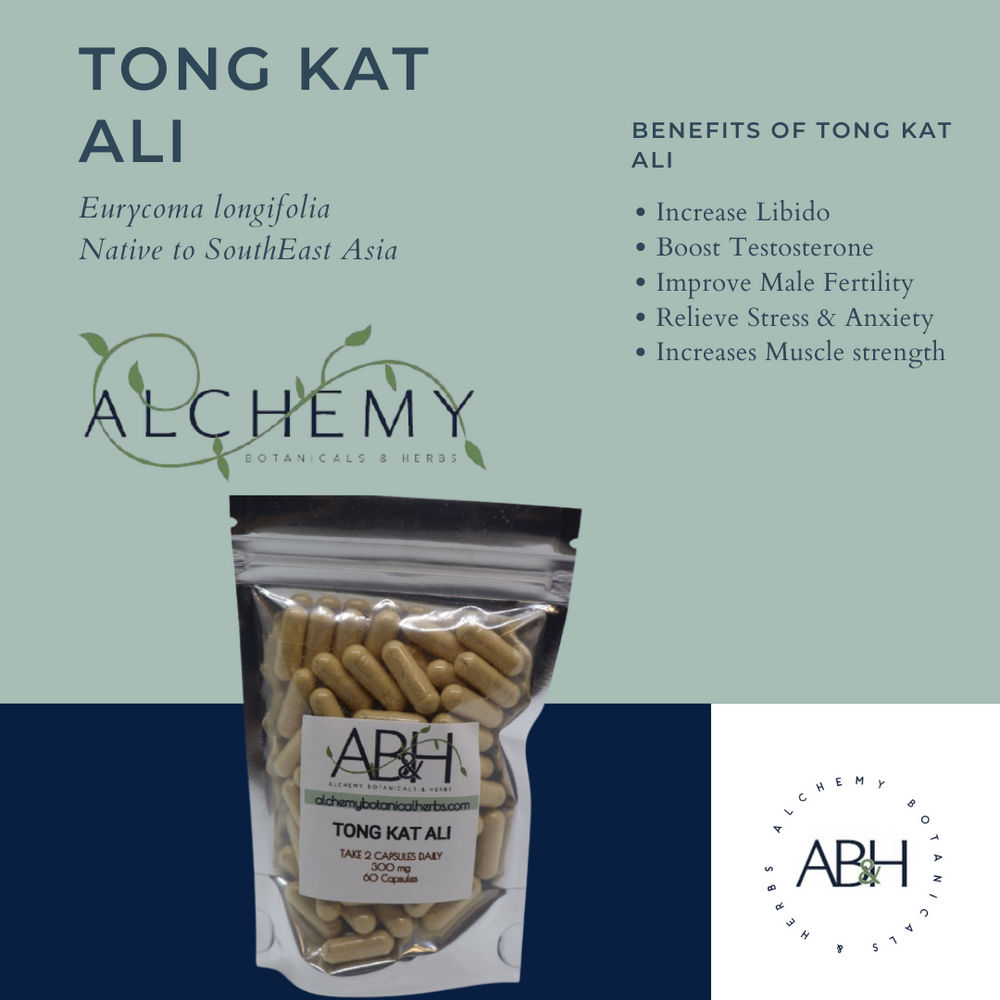 
                  
                    Tongkat Ali Powder Capsules Vegetarian Capsules 300mg  no fillers Longjack Eurycoma Longigolia 60 Capsules - Alchemy Botanicals & Herbs Corp
                  
                