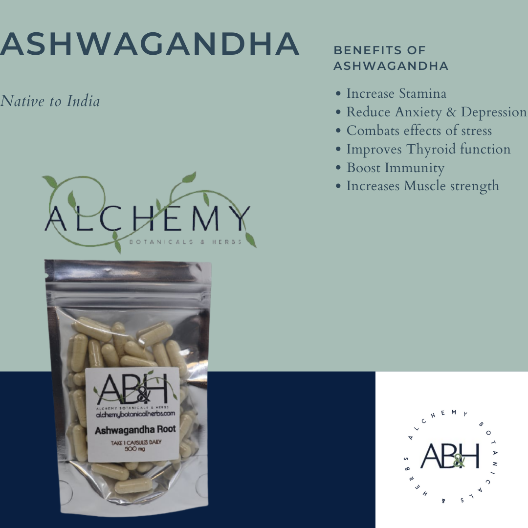 
                  
                    Ashwagandha Root Powder Capsules Supplements, No fillers  Capsules - Alchemy Botanicals & Herbs Corp
                  
                